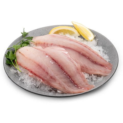 Saddletail Snapper Fillets (2 x 350g)