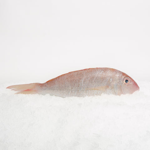 Threadfin Bream Whole (600g)