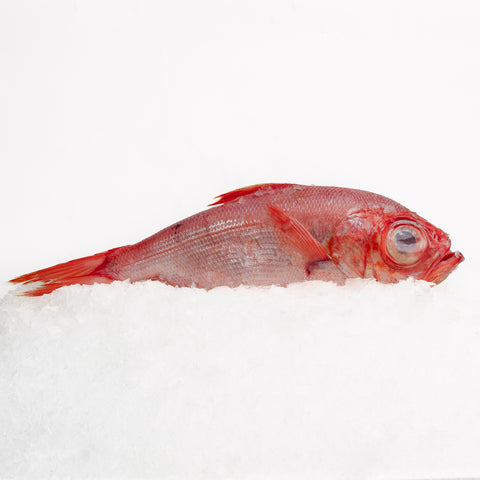 Alfonsino Whole (1.2-1.4kg)