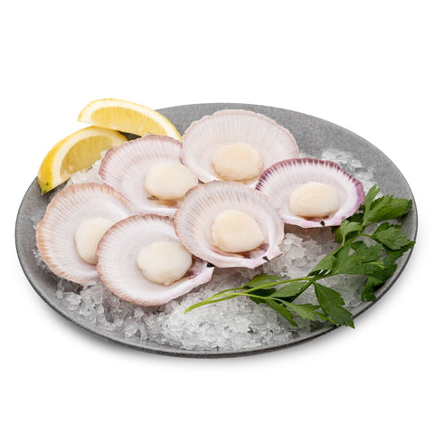 Scallops – Half Shell Roe Off (1/2 dozen)