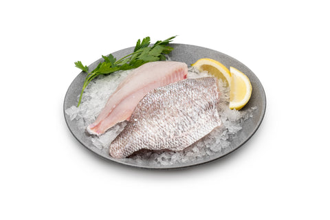 NZ Snapper Fillet (2 x 170g)