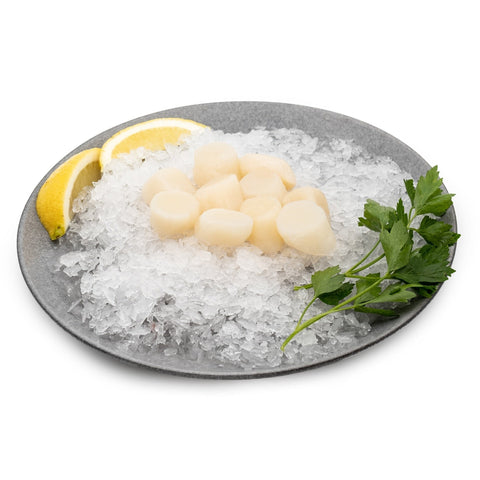 Scallops – Roe Off Meat (500g)