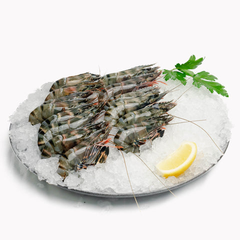 Black Tiger Prawns Large (500g)