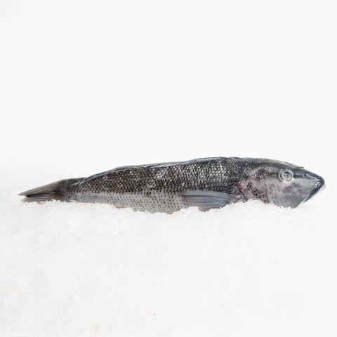 Blue Cod NZ Whole (600-800g)