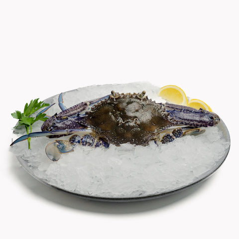 Blue Swimmer Crab – Green (500g)