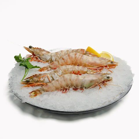 Sea Tiger Prawns – Extra Large (500g)