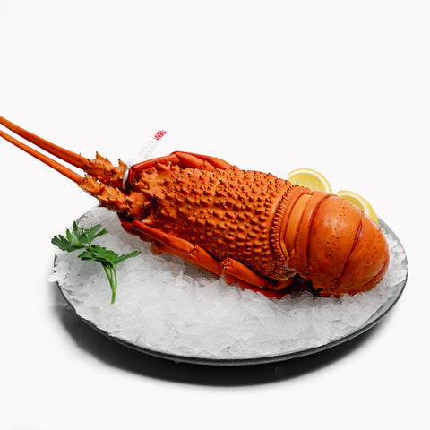 Lobster – Eastern Rock Cooked (1-1.2kg)