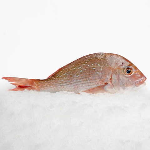 NZ Snapper Whole (700g-900g)