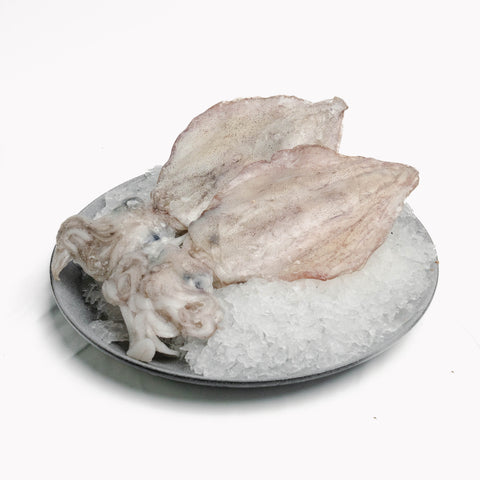 Southern Calamari – Sashimi Grade (500g)