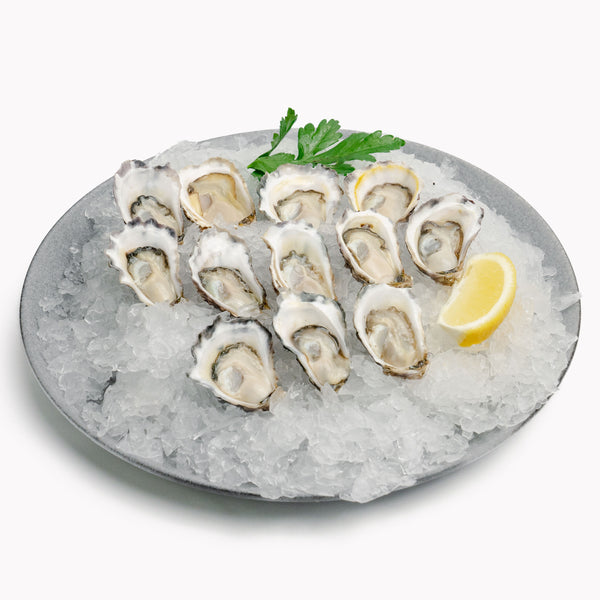 Sydney Rock Oysters Large (1 Dozen)