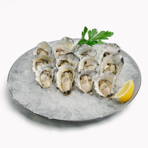 Sydney Rock Oysters Medium (1 Dozen)