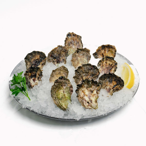 Oysters – Unshucked Sydney Rock (1 dozen)