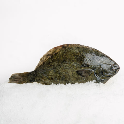 Yellowbelly Flounder (500-700g)