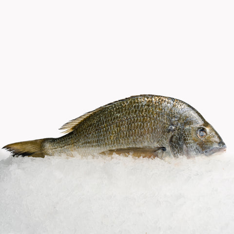 Yellowfin Silver Bream Whole (500-600g)